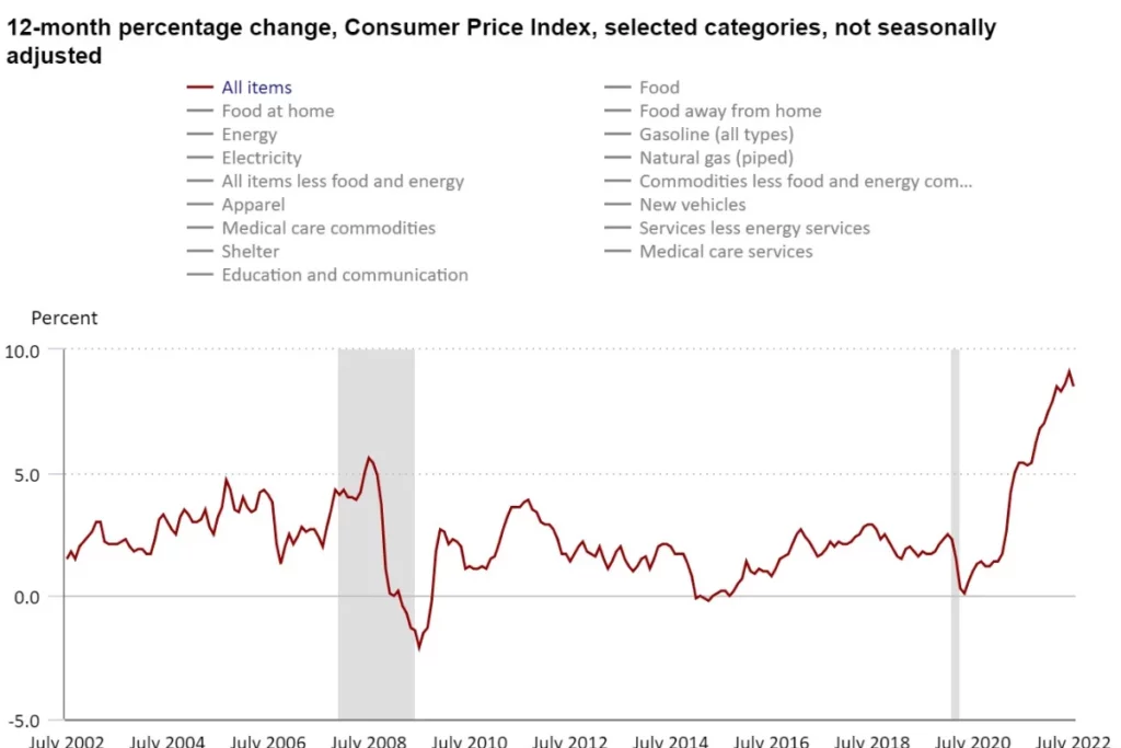 12 month percentage US Consumer Price Index is the most important economic indicator today