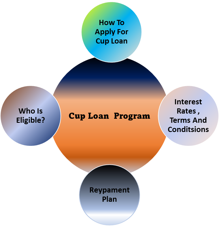 complete detail of cup loan program on a flow chart